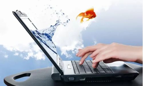 計(jì)算機(jī)提示DLL文件缺失如何恢復(fù) 多種方法快速一鍵修復(fù)DLL問題