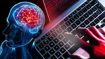 計(jì)算機(jī)編程基礎(chǔ) 必備軟件與輔助設(shè)備概述